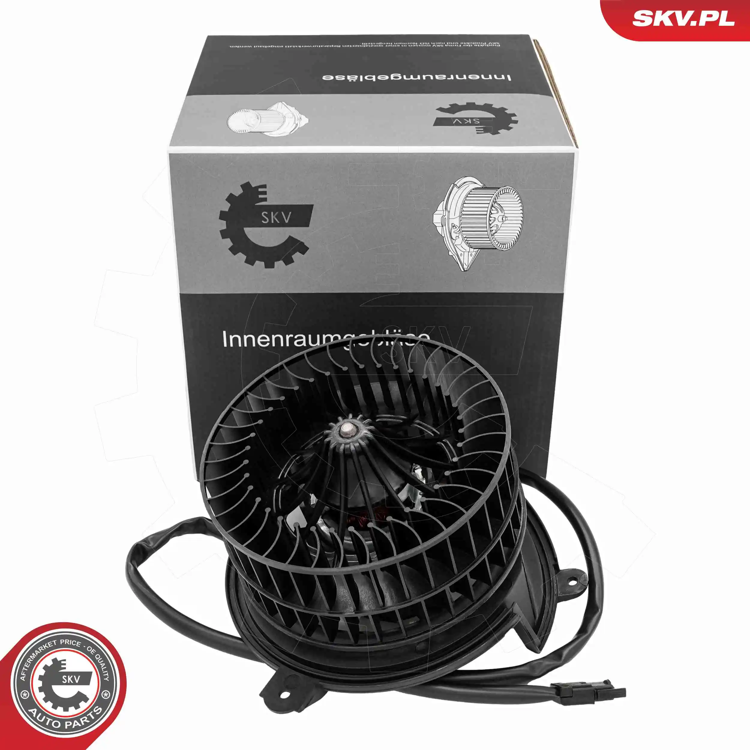 Interior Blower